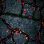 Flower Cobbles