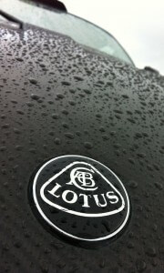 Lotus Badge Wallpaper (Courtesy of CRGraphics)