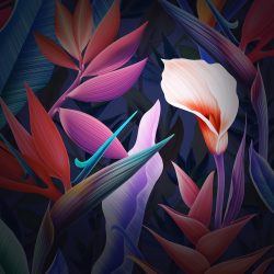 Mate 10q