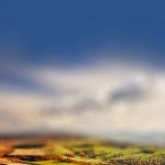Mini Hills