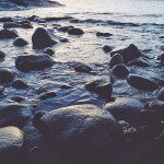 Rocky Shore