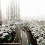 Snowy Streets