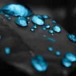 Turquiose Water