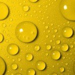 Yellow Drops