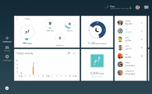 Fitbit for Windows 8.1