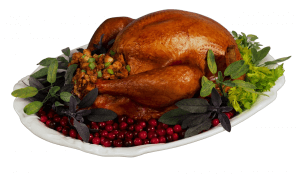 Thanksgiving Turkey