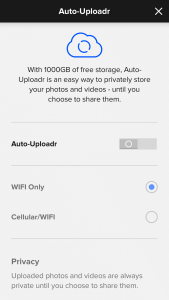 Auto Upload in Flickr