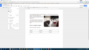 Google Docs Online