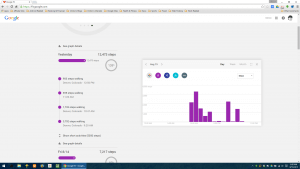 Google Fit Site