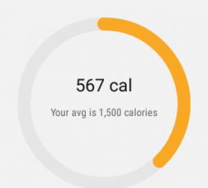 Google Fit on Android Wear