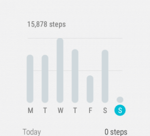 Historical Data for Google Fit in Wear