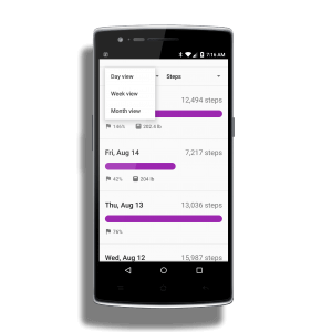 Historical Day View in Google Fit