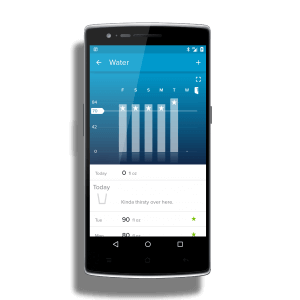 Water Log in FitBit
