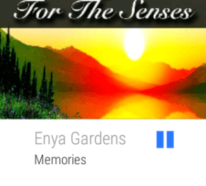 Google Music Play on Android Wear