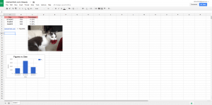 Google Sheets in Chrome on a PC