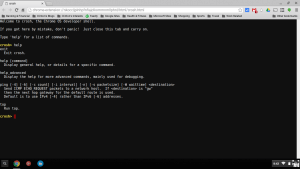 Chrome OS Developer Shell
