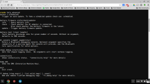 Chrome OS Developer Shell Advanced Help