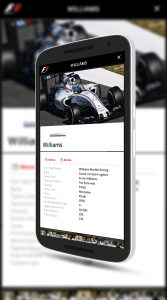 Team Information Page