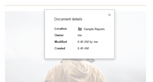 Document Details in Google Docs