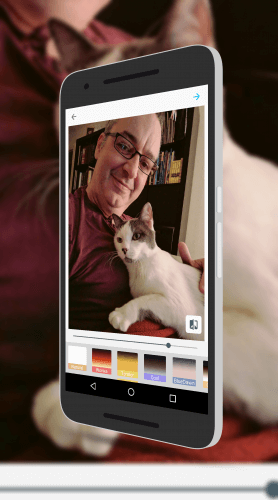 Microsoft Selfie for Android