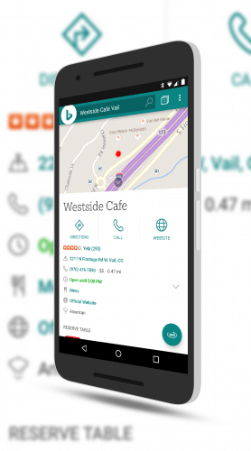 Bing Local Travel Results