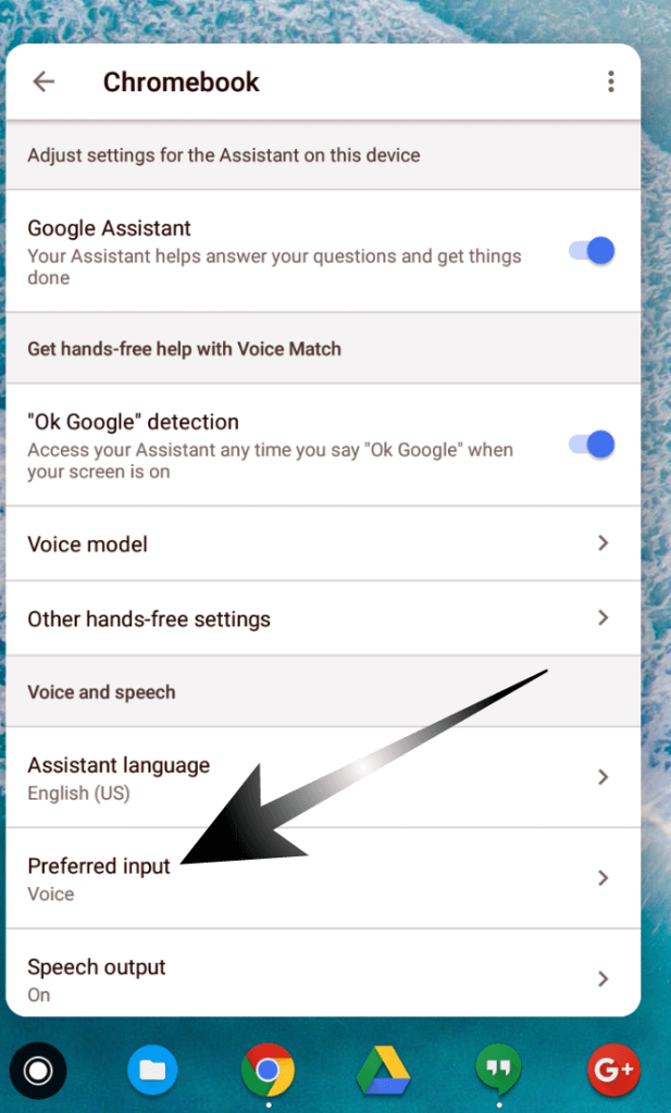 Voice as Default Input in Google Assistant on The Pixelbook