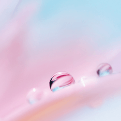 Huawei P20 Wallpaper 12