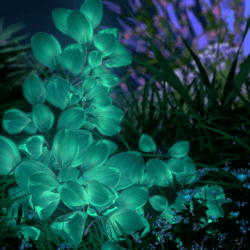 Huawei P20 Wallpaper 3