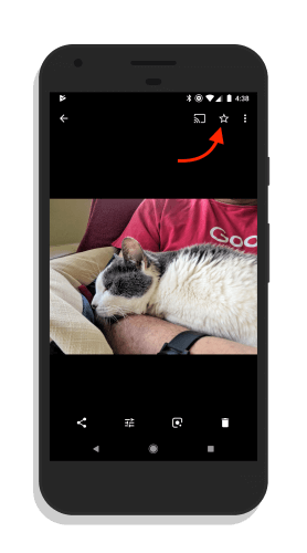 Google Photos Favorites