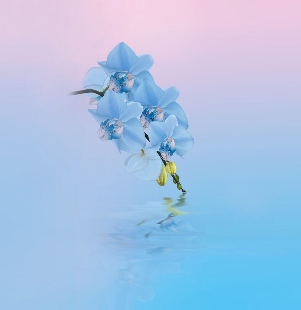Huawei Note 10 - 10